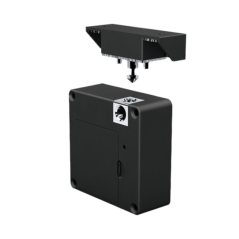 Lion Head Lock Smart Cabinet Lock Blutooth