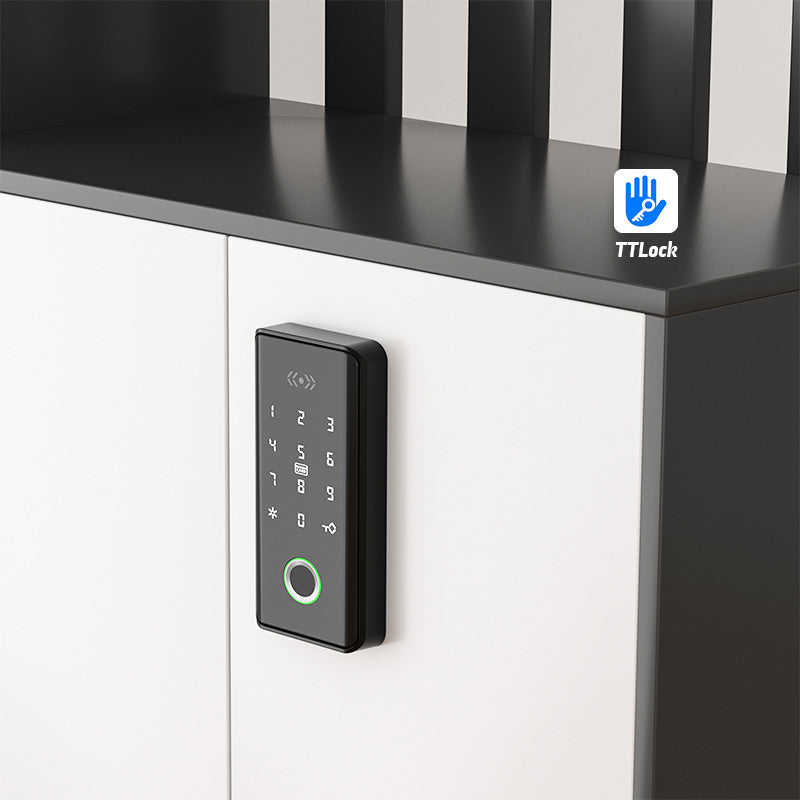 Lion Head Lock Smart Cabinet Lock