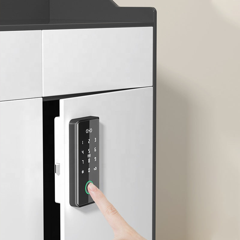 Lion Head Lock Smart Cabinet Lock