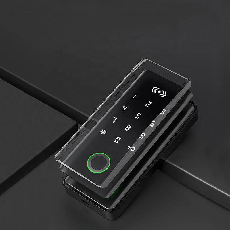 Lion Head Lock Smart Cabinet Lock