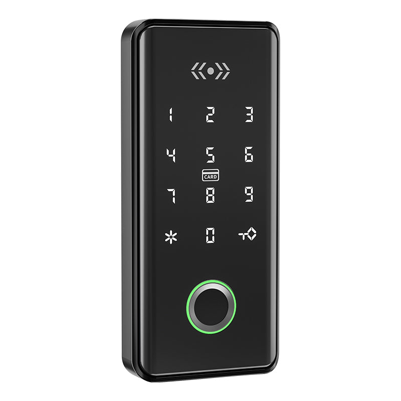 Lion Head Lock Smart Cabinet Lock