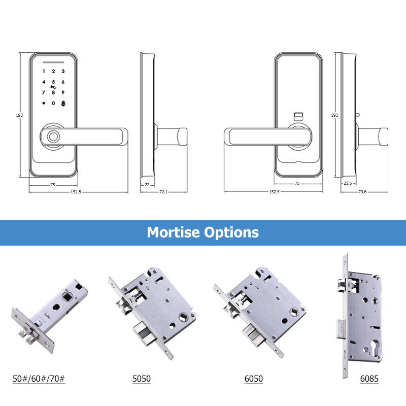 Lion Head Rathdowne Digital Entrance Lock