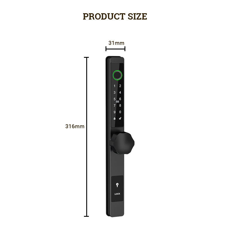 Lion Head Lygon Hex Digital Entrance Lock