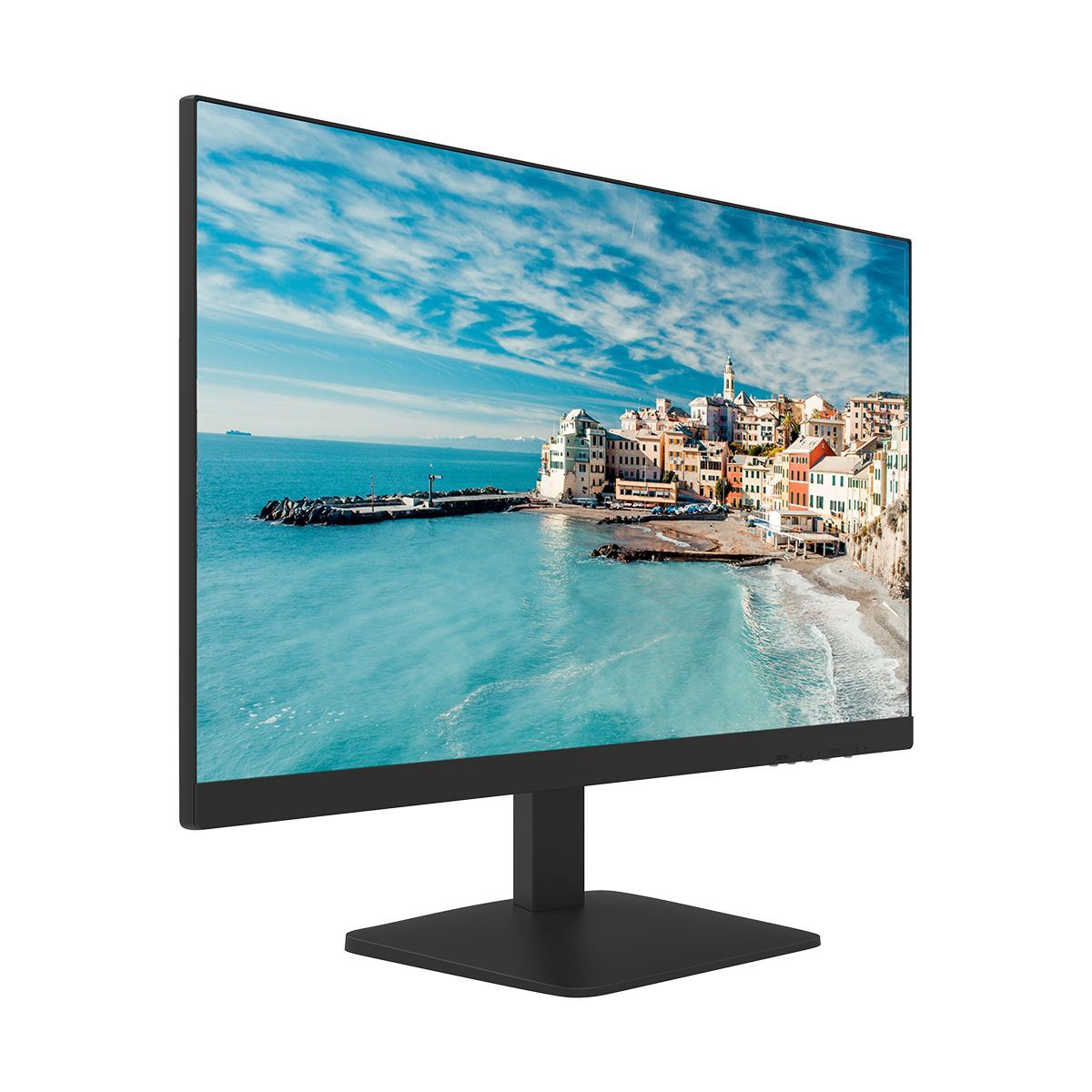 HiLook M-2210F0 21.5 inch FHD Display Monitor