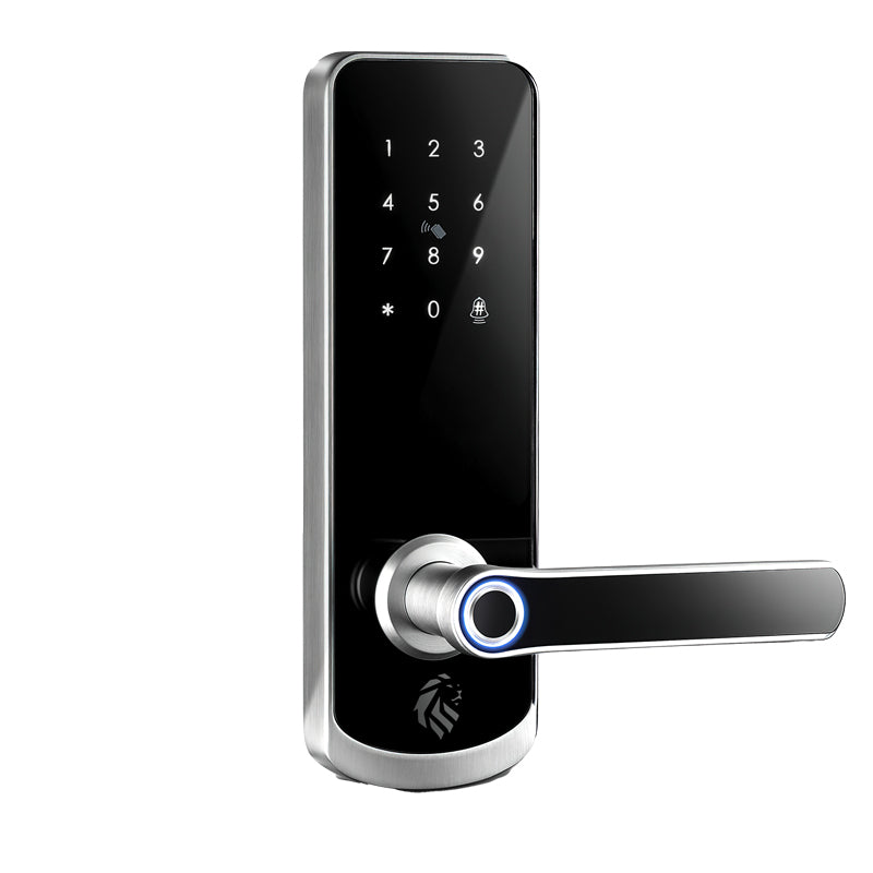 Lion Head Nicholson Digital Entrance Lock