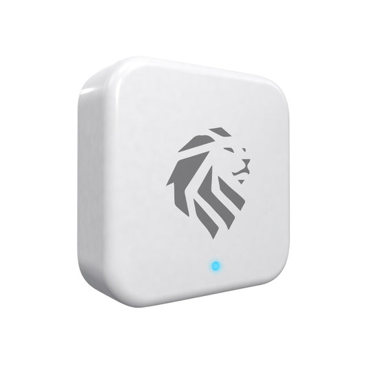 Lion Head PoE Gateway