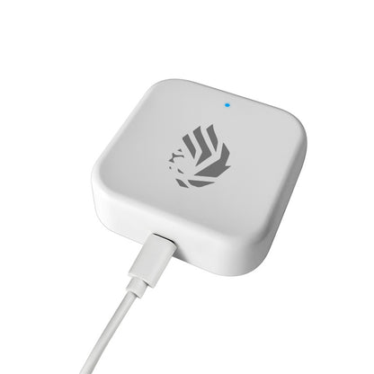 Lion Head Wifi Gateway