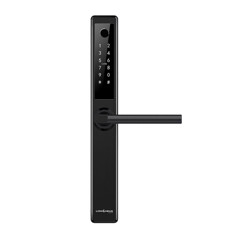 Lion Head Erskine LUXE Digital Slimline Entrance Lock