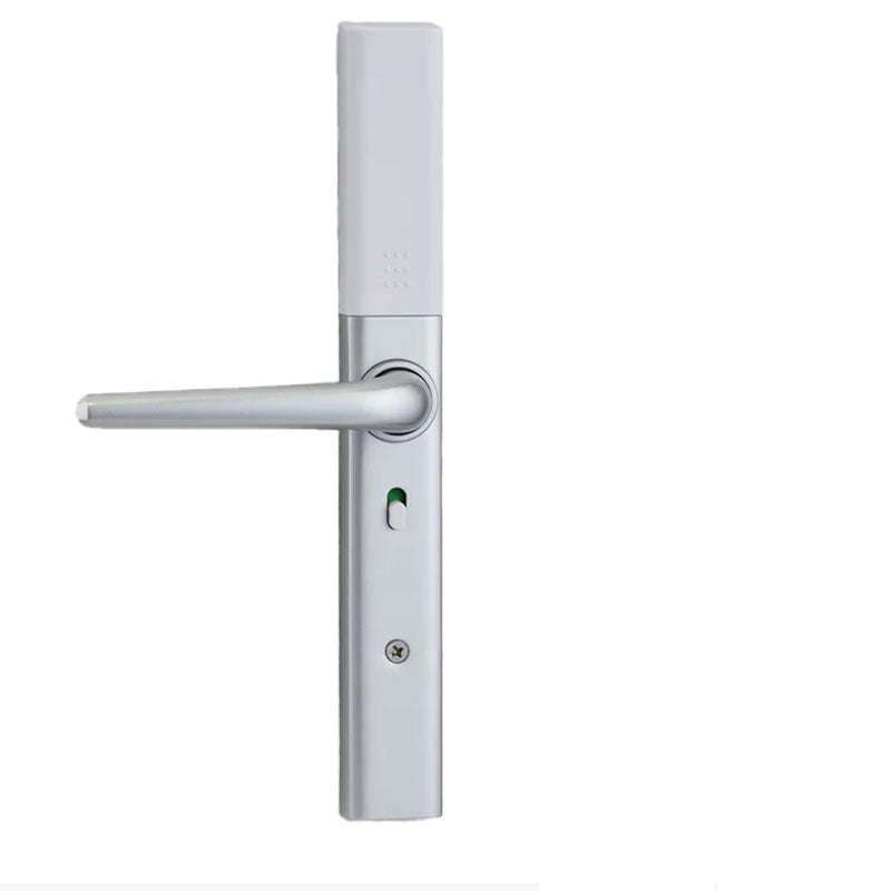 Lion Head Aspen LUXE Digital Slimline Door Lock