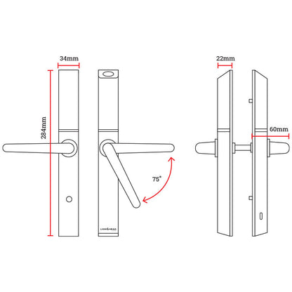 Lion Head Aspen LUXE Digital Slimline Door Lock