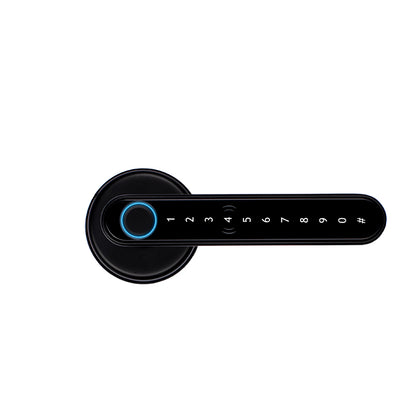 Lion Head Piper Digital Entrance Lock