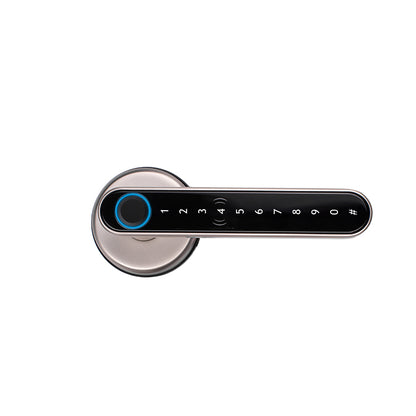 Lion Head Piper Digital Entrance Lock