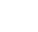 Hikvision Icon